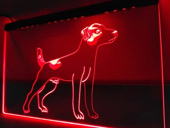 LK244 - Džeko Raselo Terjerų Pet LED Neon Light Pasirašyti namų dekoro amatai